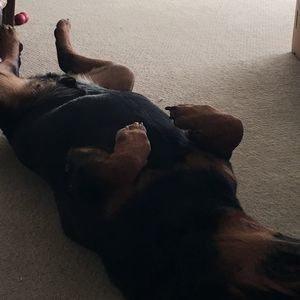 Meet your Posher, Gary